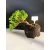 Żywe Drzewko Bonsai Jałowiec Rozesłany Procumbens 10-letni +GRATIS 438