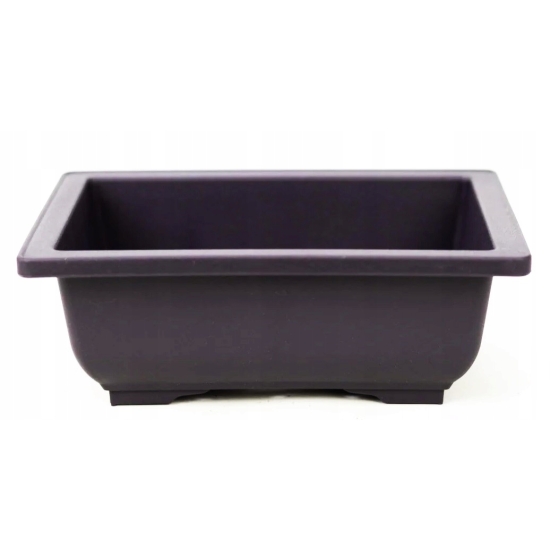 Żywe Drzewko Bonsai Jałowiec Rozesłany Procumbens 10-letni +GRATIS 458