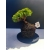 Żywe Drzewko Bonsai Jałowiec Rozesłany Procumbens 11-letni +GRATIS 532