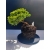 Żywe Drzewko Bonsai Jałowiec Rozesłany Procumbens 11-letni +GRATIS 532
