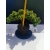 Żywe Drzewko Bonsai Jałowiec Rozesłany Procumbens 11-letni +GRATIS 520