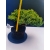 Żywe Drzewko Bonsai Jałowiec Rozesłany Procumbens 11-letni +GRATIS 531