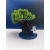 Żywe Drzewko Bonsai Jałowiec Rozesłany Procumbens 11-letni +GRATIS 531