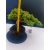 Żywe Drzewko Bonsai Jałowiec Rozesłany Procumbens 11-letni +GRATIS 525