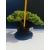 Żywe Drzewko Bonsai Jałowiec Rozesłany Procumbens 11-letni +GRATIS 528