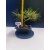 Żywe Drzewko Bonsai Sosna Czarna Pinus Nigra 10-letni na PREZENT 329