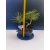 Żywe Drzewko Bonsai Sosna Czarna Pinus Nigra 10-letni na PREZENT 321