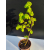 Żywe Drzewko Bonsai Lipa Drobnolistna Tilia Cordata 67cm 11-letnia 003