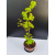 Żywe Drzewko Bonsai Lipa Drobnolistna Tilia Cordata 68cm 11-letnia 002
