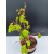 Żywe Drzewko Bonsai Lipa Drobnolistna Tilia Cordata 47cm 11-letnia 010