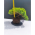 Żywe Drzewko Bonsai Jałowiec Rozesłany Procumbens 11-letni +GRATIS 536