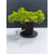 Żywe Drzewko Bonsai Jałowiec Rozesłany Procumbens 11-letni +GRATIS 527