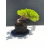 Żywe Drzewko Bonsai Jałowiec Rozesłany Procumbens 11-letni +GRATIS 522