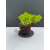 Żywe Drzewko Bonsai Jałowiec Rozesłany Procumbens 11-letni +GRATIS 516