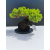 Żywe Drzewko Bonsai Jałowiec Rozesłany Procumbens 11-letni +GRATIS 480