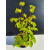 Żywe Drzewko Bonsai Lipa Drobnolistna Tilia Cordata 53cm 11-letnia 022