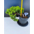 Żywe Drzewko Bonsai Jałowiec Rozesłany Procumbens 11-letni +GRATIS 548
