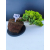 Żywe Drzewko Bonsai Jałowiec Rozesłany Procumbens 11-letni +GRATIS 548