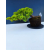 Żywe Drzewko Bonsai Jałowiec Rozesłany Procumbens 11-letni +GRATIS 542