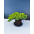 Żywe Drzewko Bonsai Jałowiec Rozesłany Procumbens 11-letni +GRATIS 545