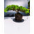 Żywe Drzewko Bonsai Jałowiec Rozesłany Procumbens 11-letni +GRATIS 448