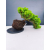 Żywe Drzewko Bonsai Jałowiec Rozesłany Procumbens 11-letni +GRATIS 428