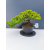 Żywe Drzewko Bonsai Jałowiec Rozesłany Procumbens 11-letni +GRATIS 447