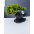 Żywe Drzewko Bonsai Jałowiec Rozesłany Procumbens 11-letni +GRATIS 455