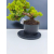 Żywe Drzewko Bonsai Jałowiec Rozesłany Procumbens 11-letni +GRATIS 453